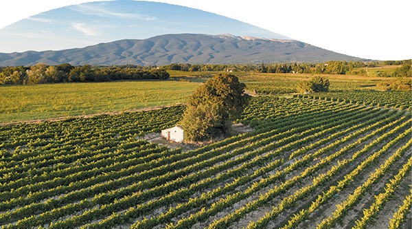 L'AOC <span>Côtes du Rhône Villages</span>